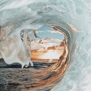 Meet your Posher, Chloe